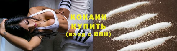 крисы Киров