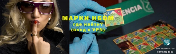 соль ск Козловка