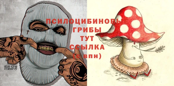 Альфа ПВП Кодинск